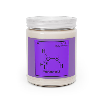 Methanethiol Scented Candles, 9oz